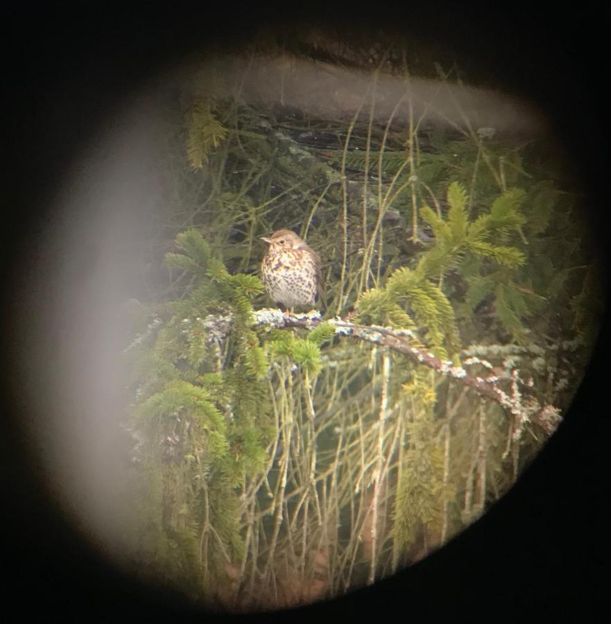 Rudle Villa Swierkocin  Dış mekan fotoğraf